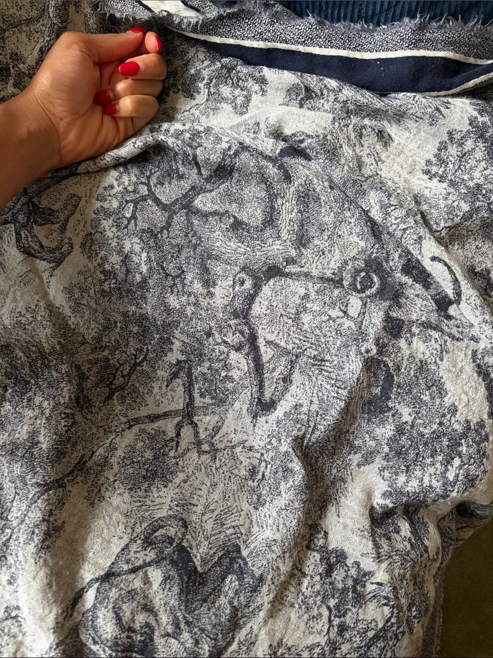 Dior Wool Scarf - Blue/White Accent